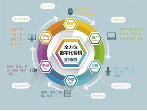 市場營銷策劃 品牌管理與廣告策劃的發(fā)展前景與薪資分析